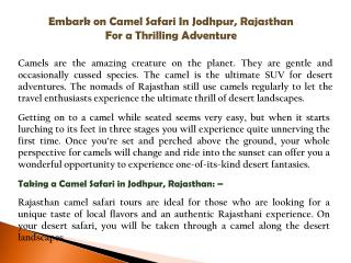 Embark on Camel Safari In Jodhpur, Rajasthan For a Thrilling Adventure