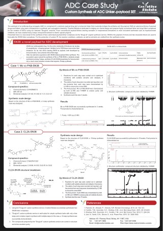 ADC Case Study-Custom Synthesis of ADC Linker-payload SET