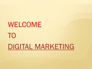 Digital Marketing company in delhi | SEO services in delhi - SEO agency