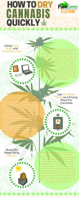 How To Dry Cannabis Quickly