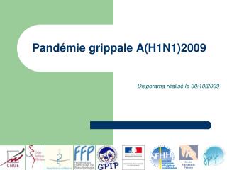 Pandémie grippale A(H1N1)2009