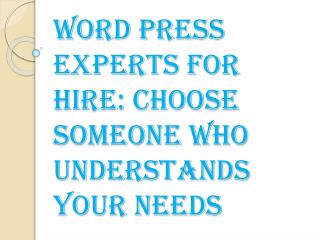 Word Press Experts for Hire: Choose Someone Who Understands Your Needs