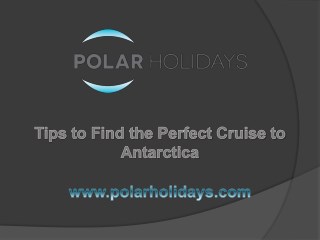 Tips to Find the Perfect Cruise to Antarctica