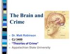 The Brain and Crime