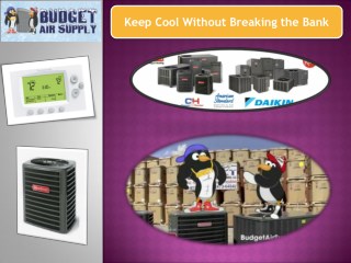 Keep Cool Without Breaking the Bank