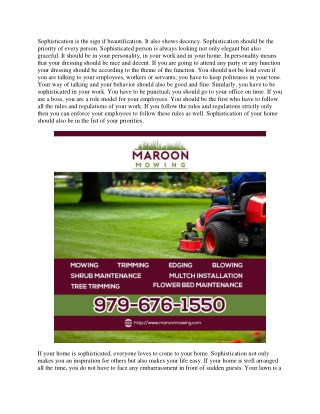 Mowing Lawn Services