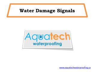 Water Damage Signals