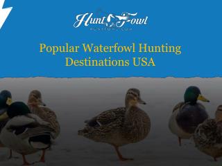 Popular Waterfowl Hunting Destinations USA