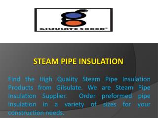 Steam Pipe Insulation