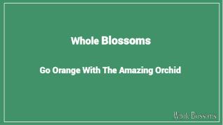 Get the Gorgeous Orange Orchid Flowers for Your Decoration