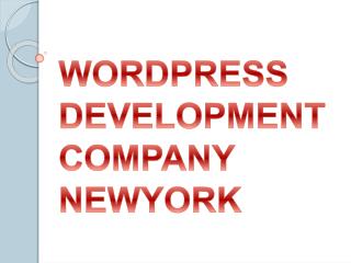 WORDPRESS DEVELOPMENT COMPANY NEWYORK