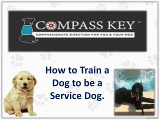 How to Train a Dog to be a Service Dog with good training program.