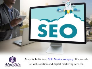 Matebiz India, one of the major SEO Company