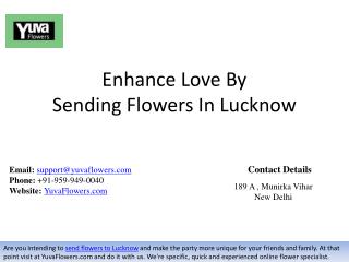 Enhance Love By Sending Flowers In Lucknow