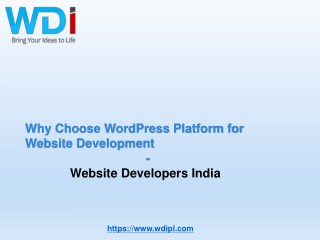 Choose WordPress Platform for Website Development