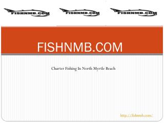 Little River Fishing Charters