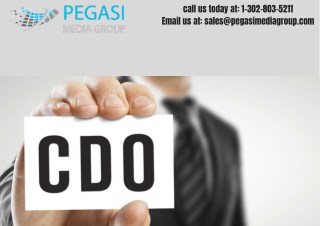 CDO Email Lists | CDO Mailing Lists | CDO Email Database