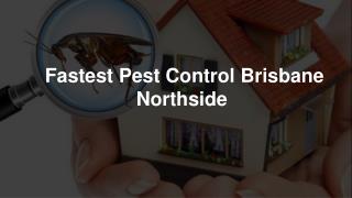 Find the best pest control Brisbane