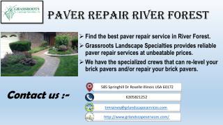 paver repair Park Ridge