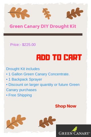 Green Canary DIY Drought Kit