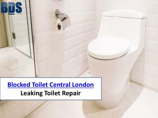 Blocked Toilet Central London – Leaking Toilet Repair