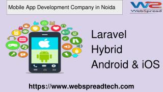 Webspreadtech - The best Mobile App Development Company in Noida | Delhi | NCR