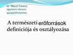 Dr. Mezo Ferenc egyetemi docens igazgat helyettes