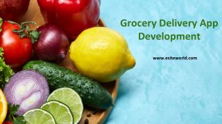 Grocery Delivery App Development