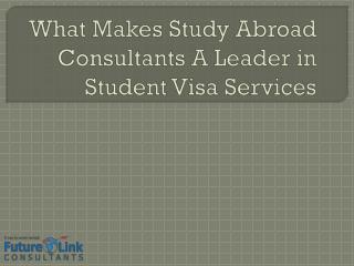 What Makes Study Abroad Consultants A Leader in Student Visa Services