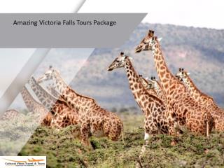 Amazing Victoria Falls Tours Package