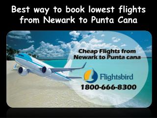 Book lowest flights from Newark to Punta Cana