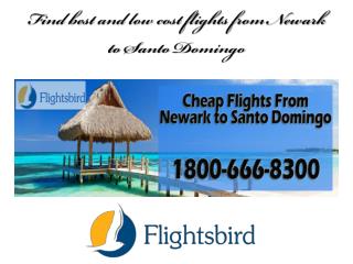 Find best and low cost flights from Newark to Santo Domingo