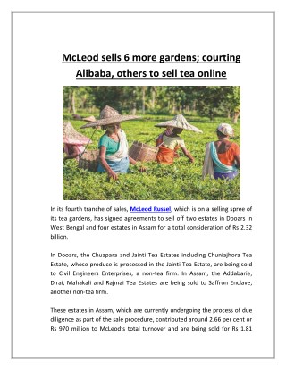 McLeod Sells 6 More Gardens; Courting Alibaba, Others to Sell Tea Online