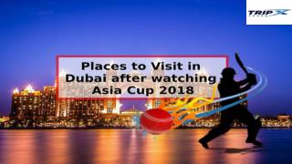 Places to Visit in Dubai After Watching Asia Cup 2018