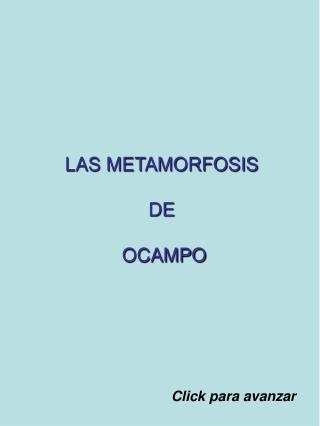 LAS METAMORFOSIS DE OCAMPO