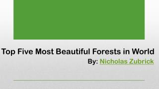 Most Beautiful Forests by Nicholas Zubrick