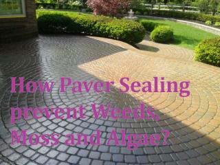 How Paver Sealing prevent weeds, moss and algae?