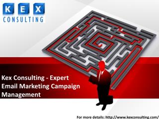 Kex Consulting Expert Email Marketing Campaign Management