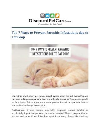 Top 7 Ways to Prevent Parasitic Infestations due to Cat Poop