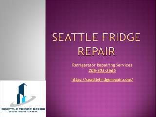 Refrigerator repairing services
