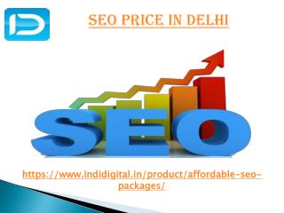 what is seo price in delhi