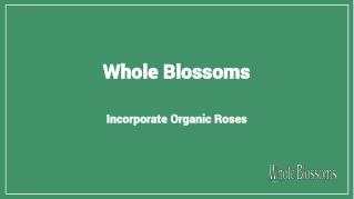 Find the Fresh Organic Roses From Whole Blossoms at the Affordable Prices