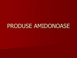 PRODUSE AMIDONOASE