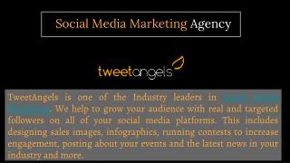 Social Media Marketing Agency - Tweet Angels