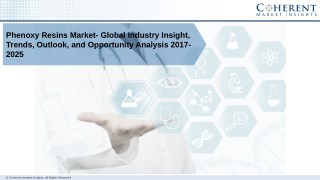 Phenoxy Resins Market Industry Trends, Share and Outlook 2025