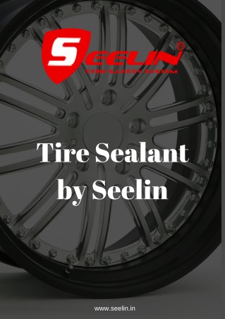 Don’t be confused to choose Seelin Tire Sealant products