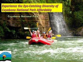Experience the Eye-Catching Diversity of Cuyabeno National Park Affordably