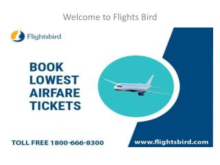 Book Cheap flights Ticket From New York and Get 40 % OFF