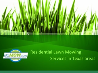 Are you looking for Lawn care services in Texas?