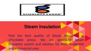 Steam Insulation